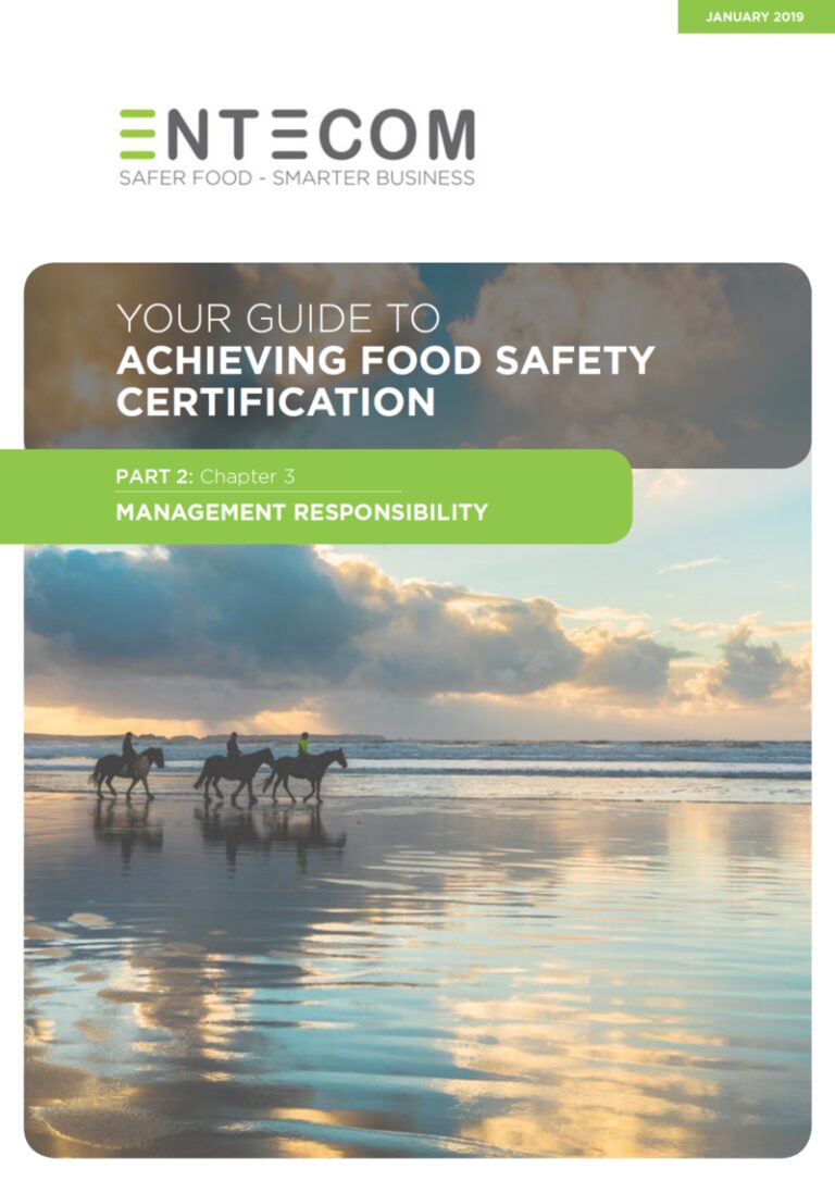 2.3. Your Guide to Management Responsibility – Chapter 3