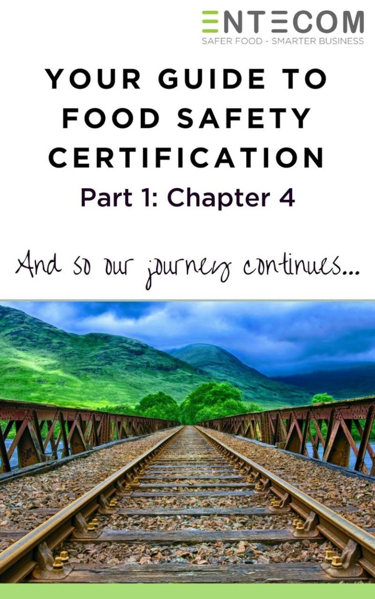 1.4. Management Responsibility, Document and Record Control, and the Control of Non-conforming Products – Chapter 4