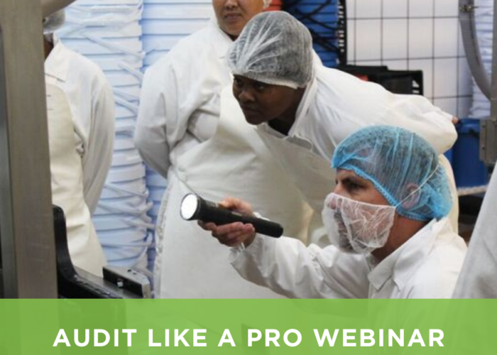Audit like a pro webinar