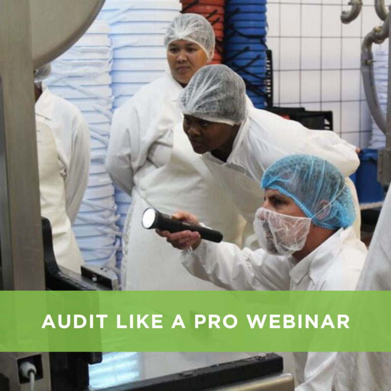 Audit like a pro webinar